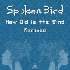 Spoken Bird - Path Of Least Resistance (Dubvirus Remix)