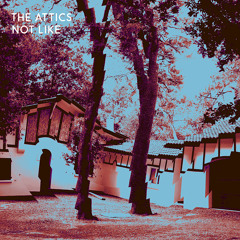 THE ATTICS - Not Like