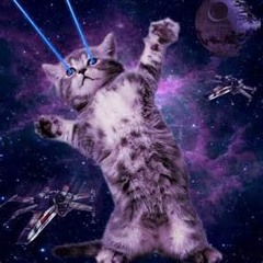 LEZR KITTEH