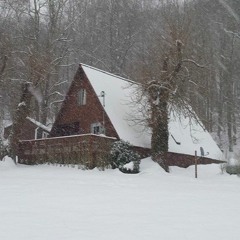 Cabin Fever