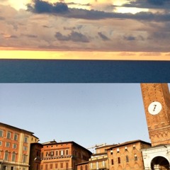 Pretty Face c. Mastous 2015