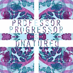 Diplo - Revloution (Professor Progressor & Dnatured Remix)