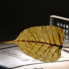 無盡智慧無盡藏 : 故事篇