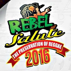 Louie Culture x Jah Mason Live @ Rebel Salute 2016 JA