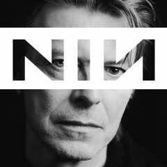 Nine Inch Bowie - Closer To Fame