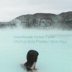Heartbreak Hotel/ Fallin' - Elvis Presley/ Alicia Keys Mashup Cover