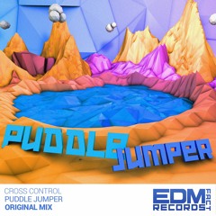 Puddle Jumper