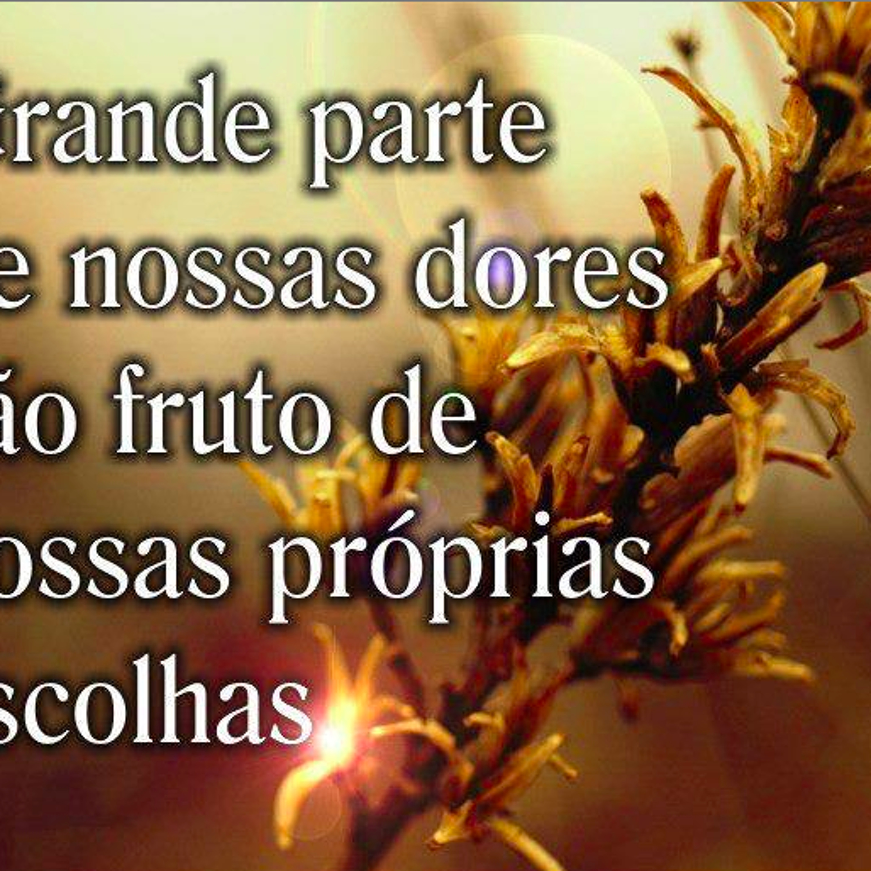 Mestre Alberto