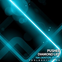 TBH134 Pushee - Diamond Life (Nik Denton Remix) SAMPLE