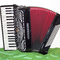 'Hector The Hero' played on piano accordion and melodeon