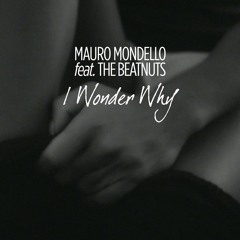 Mauro Mondello Feat. The Beatnuts - I Wonder Why (Extended Mix)