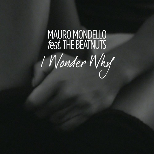 Mauro Mondello Feat. The Beatnuts - I Wonder Why (Extended Mix)
