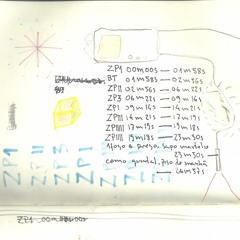 Zozio Projeto (2015)