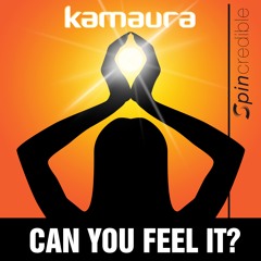 Can You Feel It (Radio Edit)