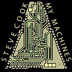Steve Cook - Holocene’s End