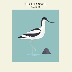 Bert Jansch - Kingfisher