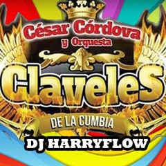 107 BPM ASI FUE (In Animacion) -  LOS CLAVELES DE LA CUMBIA FT DJ HARRYFLOW
