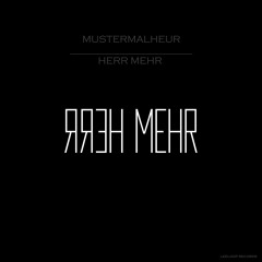 Herr Mehr - Mustermalheur