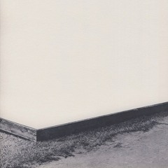 Willamette - End Of Good Discipline