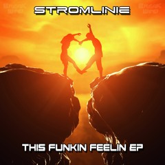 BWP036 - Stromlinie - This Funky Feelin