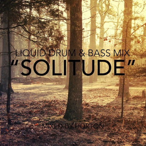 Stream "Solitude" ~ Deep Liquid Drum & Bass Mix by HORTON | Listen online  for free on SoundCloud