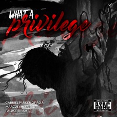 What A Privilege - Gabriel Parker of P.O.R., Marcus Sheffield, Palace Birah