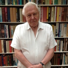 BEAD GAME EXTRA: Attenborough Interview Part 1.