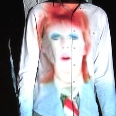 David Bowie - Life On Mars Tribute