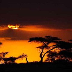 Colonne Sonore - Cielo d'Africa