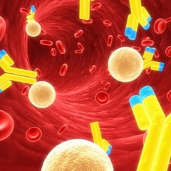 MEDSCHOOL ASMR: Immunology_Hypersensitivities (whispering and mouth sounds)