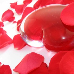 -- حلو الحلال