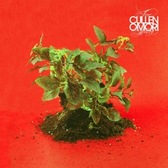 Cullen Omori - Sour Silk