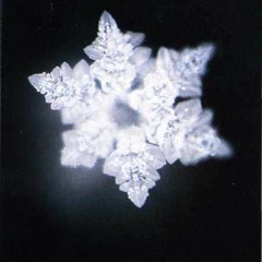 10 дней без горячей воды - #горнерв