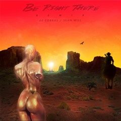 Diplo & Sleepy Tom - Don't Walk Away ( 40 Cobras & Sean Will Remix )