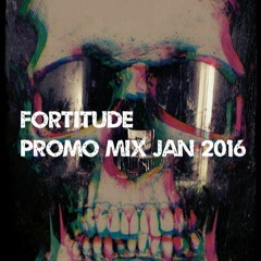 Fortitude Promo Mix for PERFECT DAY ZINE Jan 2016