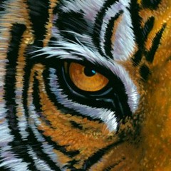 Eye Of Tiger Throwback(ft Shamrock)