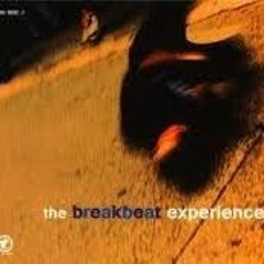 The Breakbeat Experience  (vinyl comp. mixed)