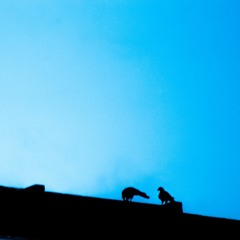 S1MON 7 & FRIENDS - DARK CITY