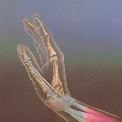 dimethyltryptamine