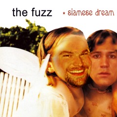 Nutshell (Alice In Chains Cover)