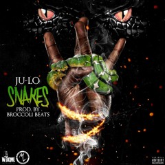 Snakes (Prod.By Broccoli Beats)
