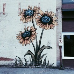 The Past - Never Shout Never