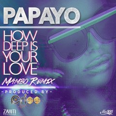 How Deep is Your Love  MAMBO REMIX (Prod. By: DjCri$$)