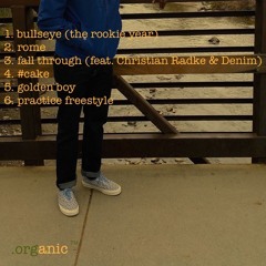 03 Fall Through (feat. Christian Radke & Denim)