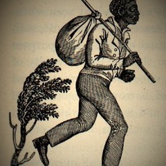 Off The Corner Freestyle