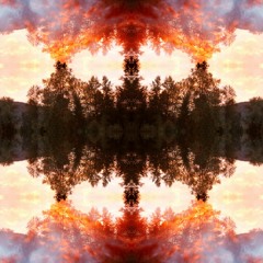 Forgotten Forgiveness 002 | 'Autonomic' 85