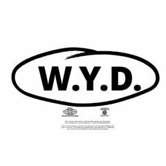W.Y.D. (Prod. CamGotHits)