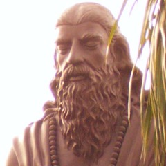 Pratyahara Selon Patanjali par Swami Veetamohananda
