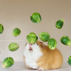 Lone Wolf Ft. Poison Jams