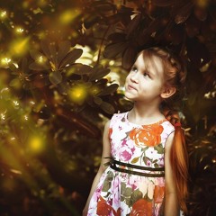 the Birth of a Firefly